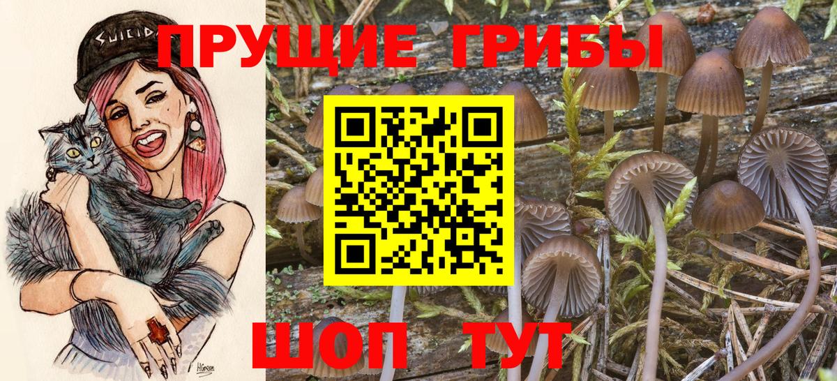 Псилоцибиновые грибы Psilocybine cubensis  Вход с VPN  Ступино 