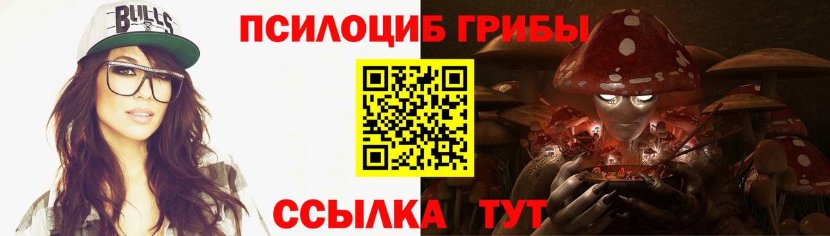 Псилоцибиновые грибы Psilocybine cubensis Ступино